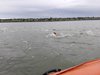 IMG-20190428-WA0056