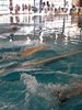 IMG-20190427-WA0104