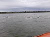 IMG-20190428-WA0055