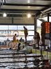 IMG-20190427-WA0127