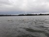 IMG-20190428-WA0089