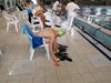 IMG-20200804-WA0018