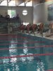 IMG-20200805-WA0085
