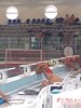 IMG-20200805-WA0073