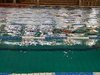 IMG-20200804-WA0033