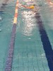 IMG-20191124-WA0036