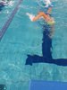 IMG-20191124-WA0029