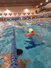 IMG-20191124-WA0008