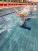 IMG-20191124-WA0052