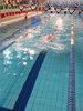 IMG-20191124-WA0026