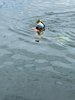 IMG-20210718-WA0081