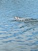 IMG-20210718-WA0044