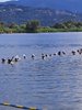 IMG-20210718-WA0049