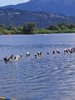 IMG-20210718-WA0048