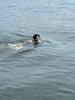 IMG-20210718-WA0080