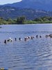 IMG-20210718-WA0047