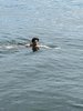 IMG-20210718-WA0043