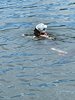 IMG-20210718-WA0045