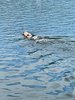 IMG-20210718-WA0078