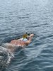 IMG-20210718-WA0059