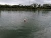 IMG-20210516-WA0012