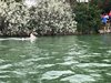 IMG-20210516-WA0037