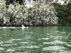 IMG-20210516-WA0036