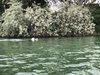 IMG-20210516-WA0035
