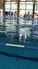 IMG-20210425-WA0028