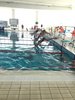 IMG-20210628-WA0136