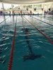 IMG-20210628-WA0073