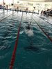 IMG-20210628-WA0071