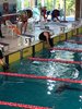 IMG-20201220-WA0132