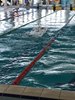 IMG-20210228-WA0086