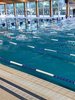 IMG-20210213-WA0181