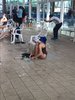 IMG-20210214-WA0063