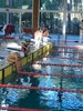 IMG-20210213-WA0100