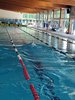IMG-20220521-WA0081