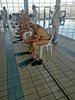 IMG-20220227-WA0132
