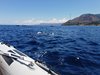 IMG-20220713-WA0064