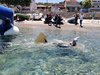 IMG-20220713-WA0067
