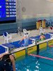 IMG-20220319-WA0012