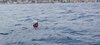 IMG-20230624-WA0019