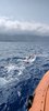 IMG-20230624-WA0008