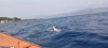 IMG-20230624-WA0016