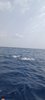 IMG-20230624-WA0010