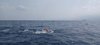 IMG-20230624-WA0029
