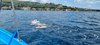 IMG-20230625-WA0025
