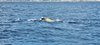 IMG-20230625-WA0024