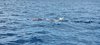 IMG-20230625-WA0028